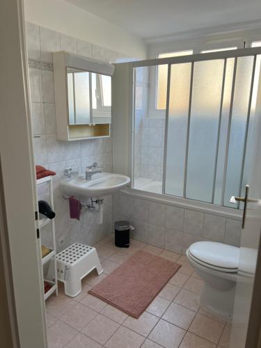 een badkamer met een wastafel en een toilet bij Casa Kromatica in Locarno