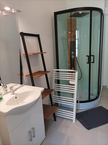 une salle de bain avec une douche avec un lavabo et un miroir dans l'établissement O'Couvent - Appartement 85 m2 - 2 chambres - A522, à Salins-les-Bains