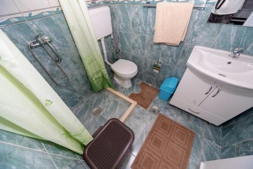 a bathroom with a shower and a toilet and a sink at Apartmani Bar in Bar
