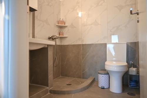 a bathroom with a shower and a toilet at Skypiea Room in Agia Anna Naxos