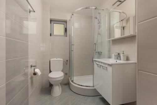 a bathroom with a shower and a toilet and a sink at Djukanovic Apartments in Bijela