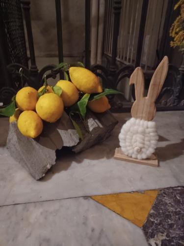 Domus Duomo B&B Napoli photo 192