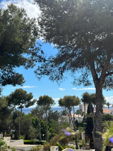 J&M Apartment Miraflores La Cala