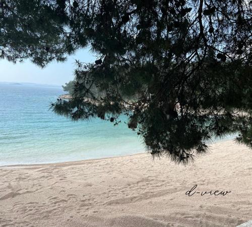 a view of a beach with a tree and the ocean at Mobile home d-view in Drage