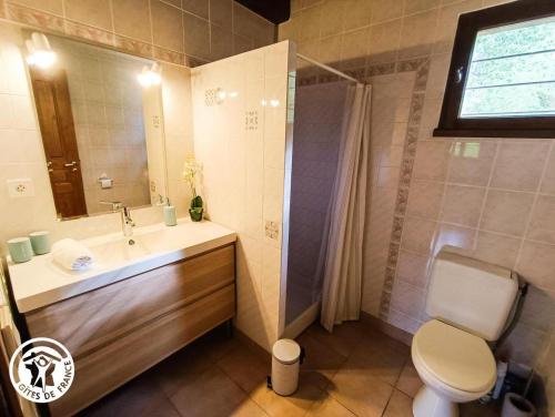 ein Badezimmer mit Waschbecken, Toilette und Dusche in der Unterkunft Gîte La Petite Fagette in Frayssinet-le-Gélat