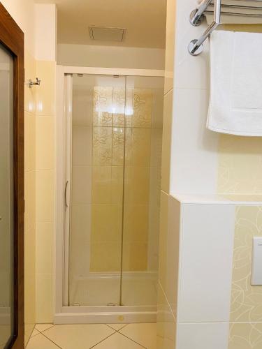 a shower with a glass door in a bathroom at Hotel Mlynska in Uherské Hradiště