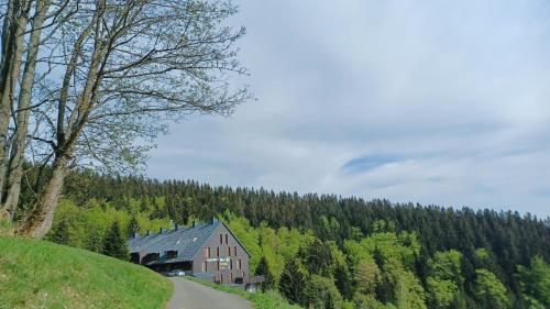 Naturlandskabet i nærheden af lejligheden