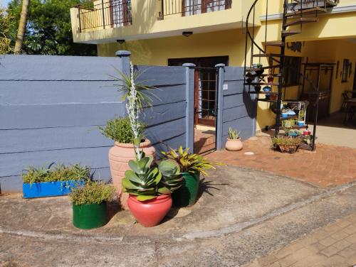 a group of potted plants in front of a building at Tuksumduin in Ballito