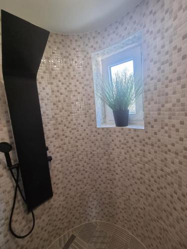 a bathroom with a potted plant in a window at Villa Marta in Porat