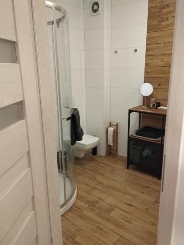 een badkamer met een toilet en een glazen douche bij Apartament w Kołobrzegu z basenem in Kołobrzeg