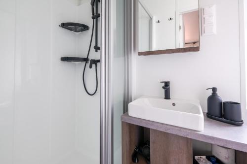 a bathroom with a sink and a mirror at Gecko - The Tiny House in Landau in der Pfalz