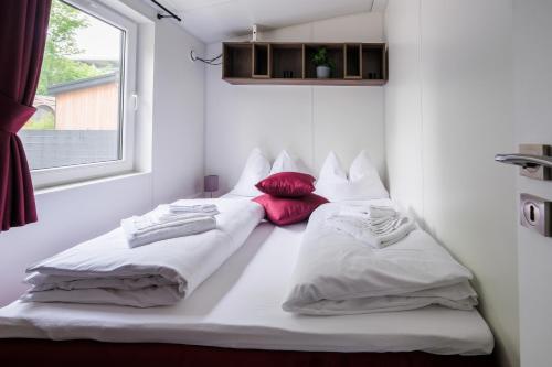 two beds in a room with a window at Gecko - The Tiny House in Landau in der Pfalz