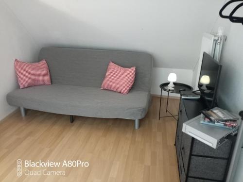 een woonkamer met een grijze bank en 2 roze kussens bij Um Burebierg apartment 35m2 