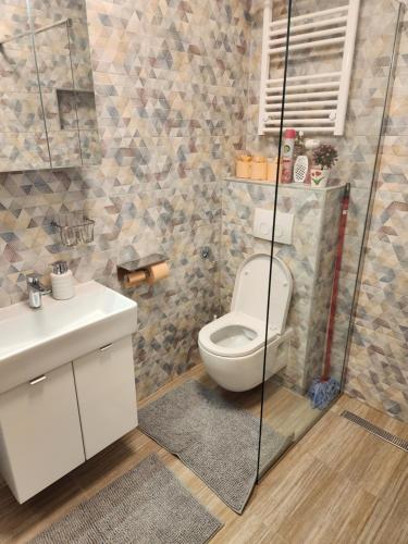 ein Bad mit einem WC und einem Waschbecken in der Unterkunft APARTMAN ZAGREB cca 42m2 with free parking in Zagreb