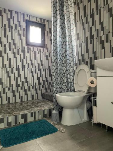 a bathroom with a toilet and a sink and a shower at Vila B&P in Costinesti