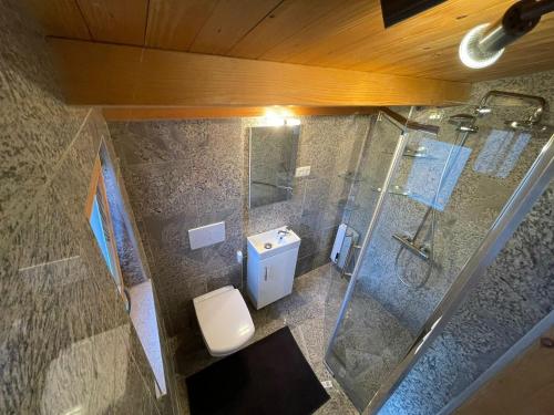 an overhead view of a bathroom with a shower and a toilet at Holzhäuschen in Nideggen