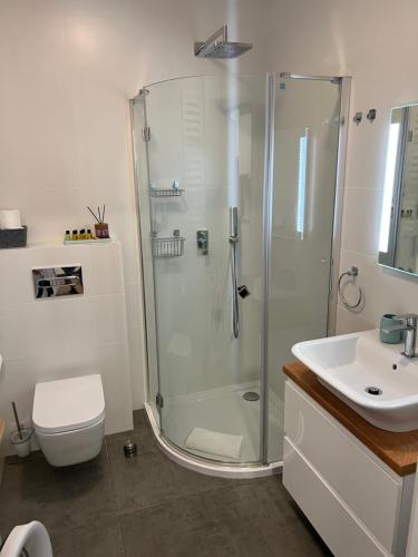 a bathroom with a shower and a toilet and a sink at Sosnowe Apartamenty - Marina in Augustów