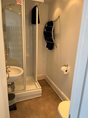 a bathroom with a shower and a sink and a toilet at Shellseekers Guest House in Looe