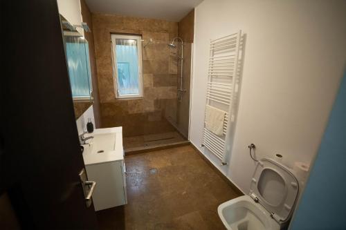 a bathroom with a toilet and a sink and a shower at Doispe Nuci in Bistra Mureşului