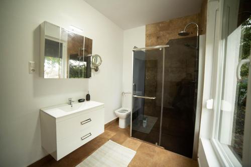 ein Bad mit einer Dusche, einem Waschbecken und einem WC in der Unterkunft Doispe Nuci in Bistra Mureşului