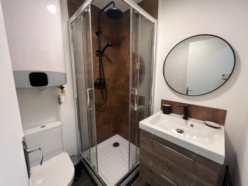 une salle de bain avec une douche, des toilettes et un lavabo dans l'établissement ROMEO Charmant Studio Centre Historique Grasse, à Grasse