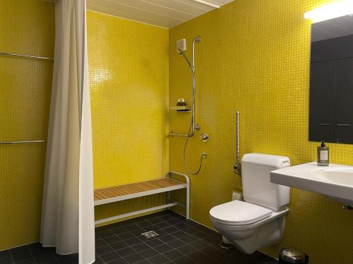 a bathroom with a toilet and a shower and a sink at Altstadthaus - neu renoviert, barrierefrei in Murten