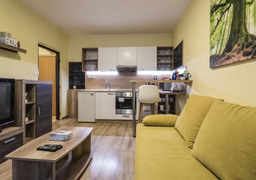 a living room with a couch and a kitchen at FLEXIHOME SK - Trieda SNP - private parking spot in Košice