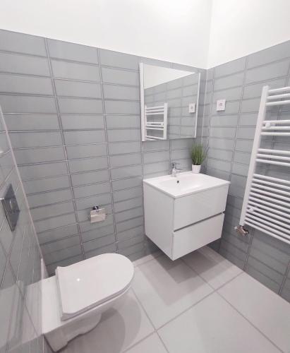 a bathroom with a sink and a toilet and a mirror at Villa Oliver 2 Hévíz in Hévíz