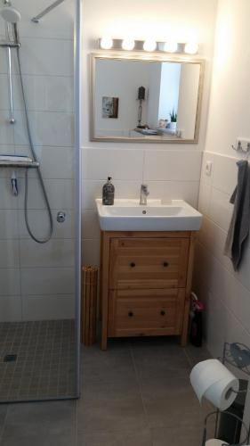 a bathroom with a sink and a mirror and a shower at Scharbeutz! Bed & Breakfast, eig. Bad, Terrasse, veg./veganem Frühst., Allergiker in Scharbeutz