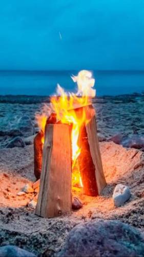a fire on a beach with the ocean in the background at BED & BREAKFAST für Individualisten in Gemeinde Scharbeutz, auch Allergiker in Scharbeutz