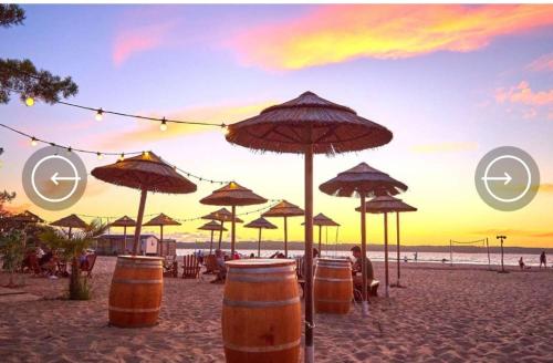 Photo de la galerie de l'établissement Mobilhome 6 pers dans un Camping 5 étoiles, à Biscarrosse