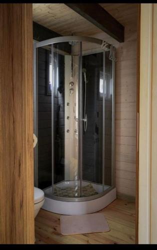 a glass shower in a bathroom with a toilet at Domki u Tutki in Szklarska Poręba