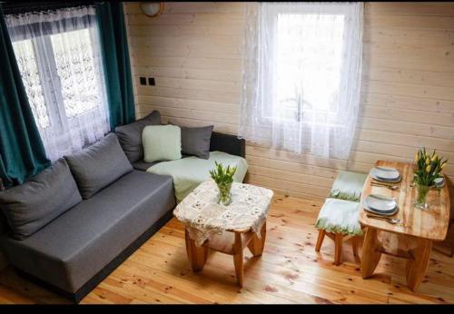 ein Wohnzimmer mit einem Sofa und einem Tisch in der Unterkunft Domki u Tutki in Szklarska Poręba