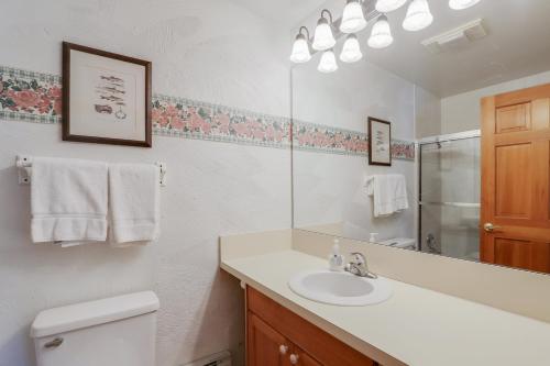 La salle de bains est pourvue d'un lavabo, de toilettes et d'un miroir. dans l'établissement Ski in Ski Out Cedars Chalet 2BR and Close to Everything, à Breckenridge