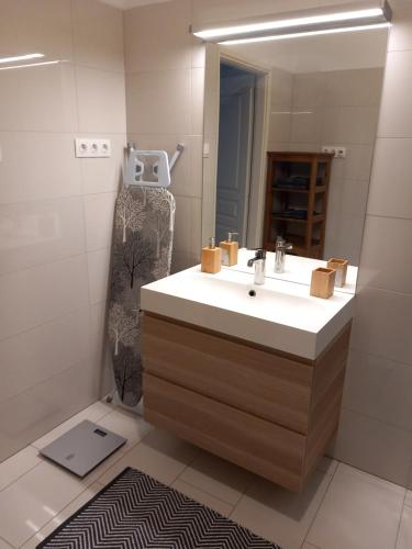 uma casa de banho com um lavatório e um espelho em Korvin One Apartman em Pápa