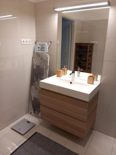 Koupelna v ubytování Korvin One Apartman
