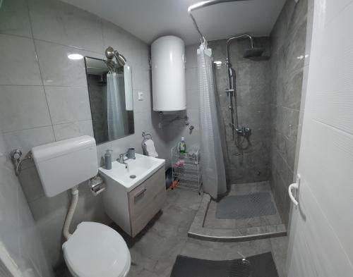 uma casa de banho com um WC, um lavatório e um chuveiro em Apartmani Maslačak em Vrdnik