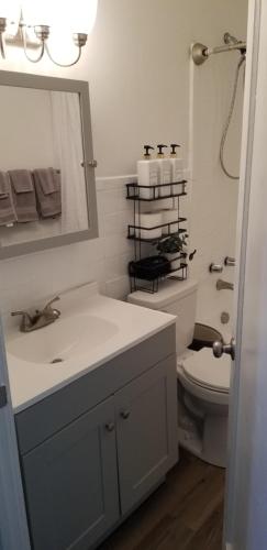 een badkamer met een wastafel, een toilet en een spiegel bij Bunk Bungalow close to ODU, Naval Base & Downtown in Norfolk