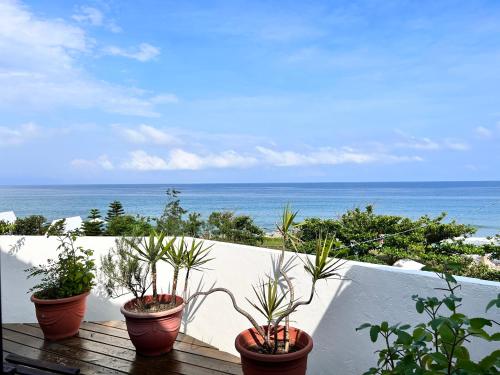 a group of potted plants sitting on a balcony overlooking the ocean at Bridge12th B&B in Yanliau