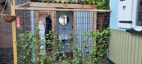 a fence with a door with vines on it at Pipowagen in Klein Medhuizen