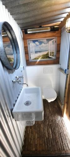 uma casa de banho com um lavatório branco e um WC. em Pipowagen 