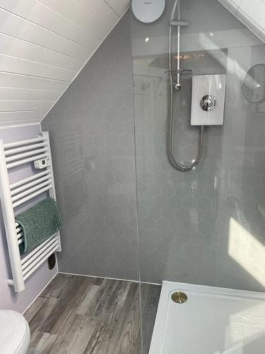a bathroom with a shower and a toilet at South Barlogan Farm in Bridge of Weir