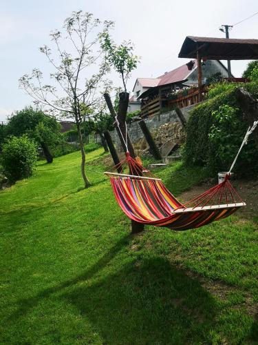 Zahrada ubytování Maciejówka