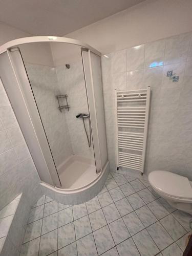 a white bathroom with a shower and a toilet at Penzion Ten in Pardubice