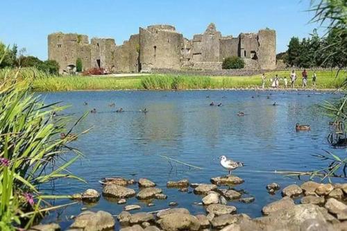 un canard debout sur des rochers dans l'eau devant un château dans l'établissement Private bedroom. Athlone and Roscommon nearby, à Roscommon