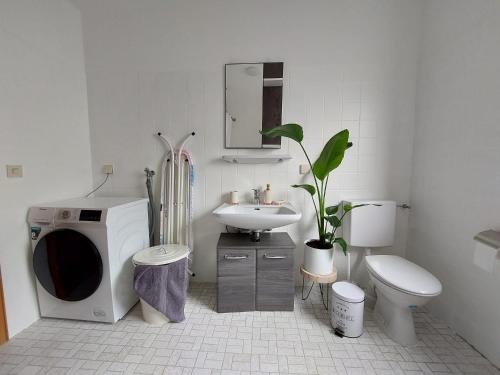 een witte badkamer met een wastafel en een toilet bij Chiemsee /Seeblick/ Netflix in Seeon-Seebruck