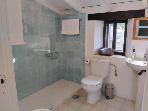 a bathroom with a toilet and a sink at Finca El Zurrador in Fuenteheridos