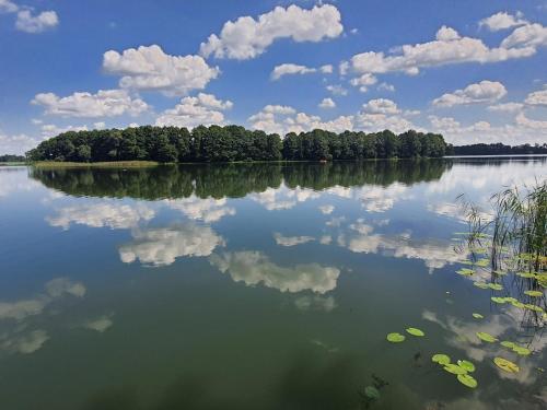 un grande lago con alberi e nuvole in acqua di Siedlisko pod świerkami-Twój własny kawałek raju a Małkinie
