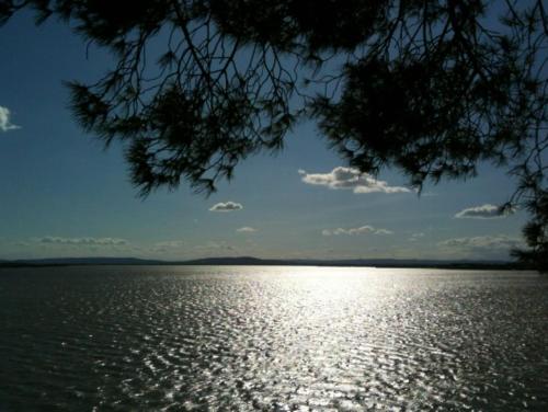 une vue sur une grande étendue d'eau dans l'établissement Design villa with panoramic pond view and jacuzzi, à Pérols