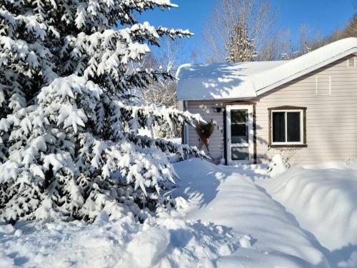 Chalet Falaise by Chalets NABU